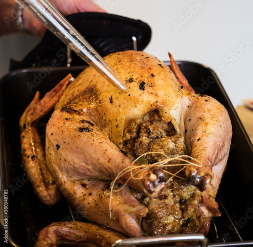 Person basting thanksgiving turkey photo