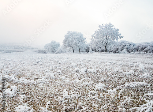 beautiful frozen winter landscape with frosty trees