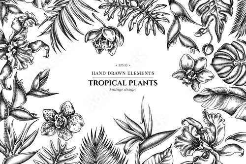 Fototapeta Naklejka Na Ścianę i Meble -  Floral design with black and white monstera, banana palm leaves, strelitzia, heliconia, tropical palm leaves, orchid