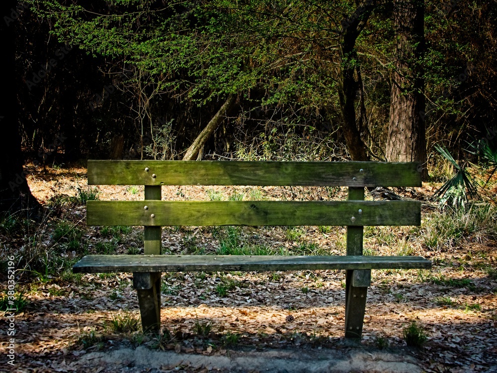 Old Wooden Bench in Woods 2