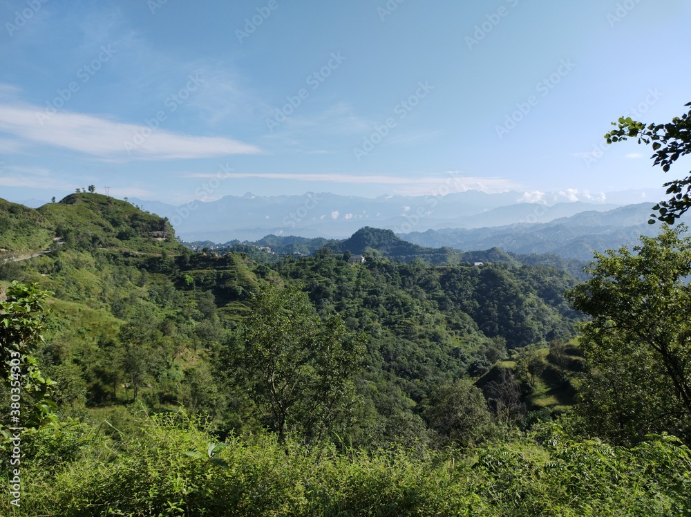 Obraz premium landscape with trees