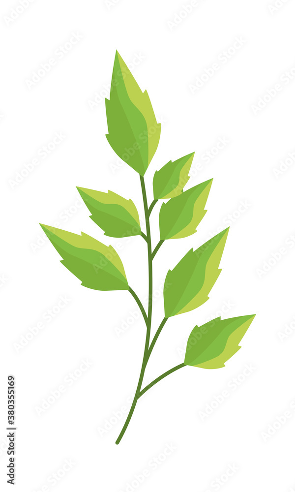 Fototapeta premium branch with leafs nature icon
