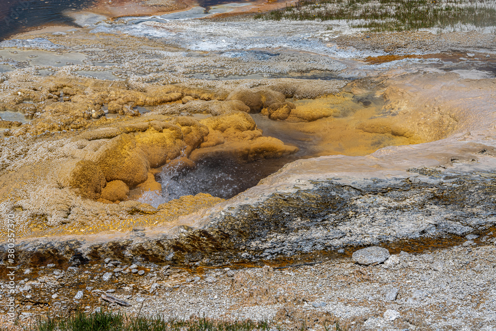 Teakettle Spring, Upper Geyser Basin Area, Yellowstone National Park Teakettle Spring, Upper Geyser Basin Area, Yellowstone National Park