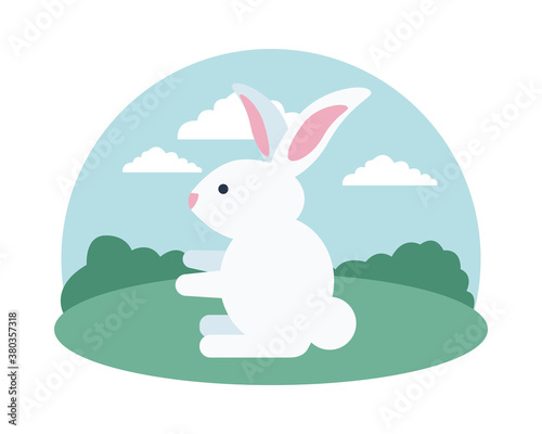cute rabbit seated in the field scene © Jemastock