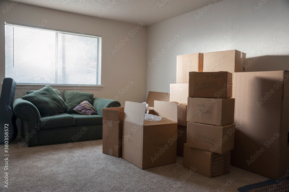 Living room filled with cardboard boxes Living room filled with cardboard boxes
