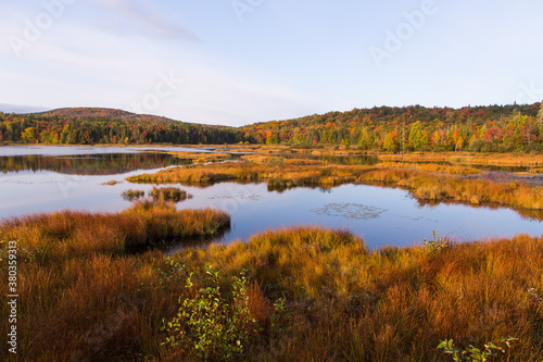 Colourful grasses and trees in around the Marshes of the North seen during a Fall golden hour morning, Stoneham and Tewkesbury, Quebec, Canada