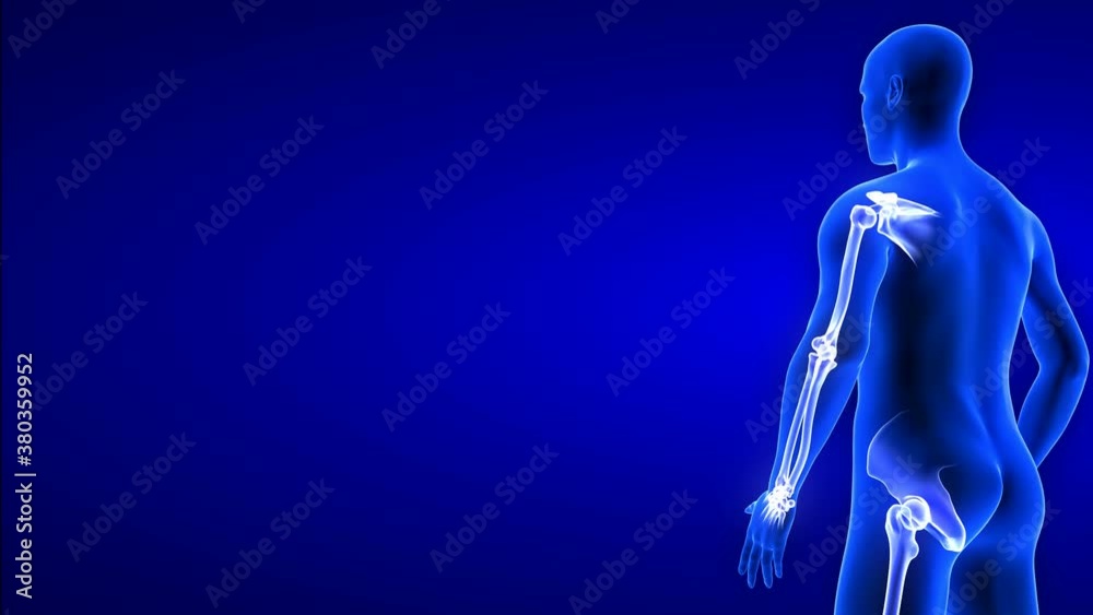 Joint Pain animation from side view - close-up. Blue Human Anatomy Body 3D Scan render - rotating seamless loop on blue background Joint Pain animation from side view - close-up. Blue Human Anatomy Body 3D Scan render - rotating seamless loop on blue background