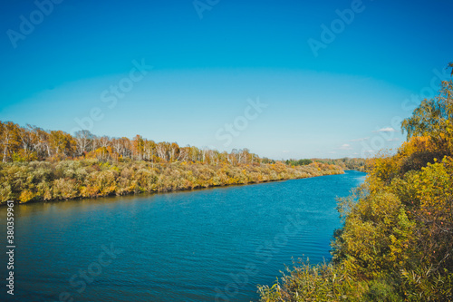 The river surrounded by trees 