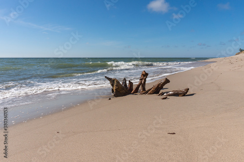 Beautiful blue sky over the sea. Seascape and waves. Snag on the sand in the sea.