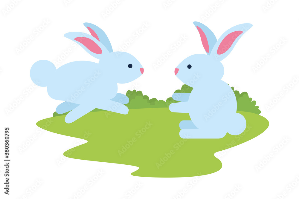 cute rabbits couple in the camp scene characters cute rabbits couple in the camp scene characters