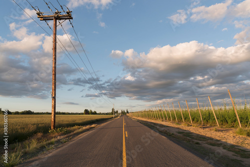 Empty road in diminishing perspective