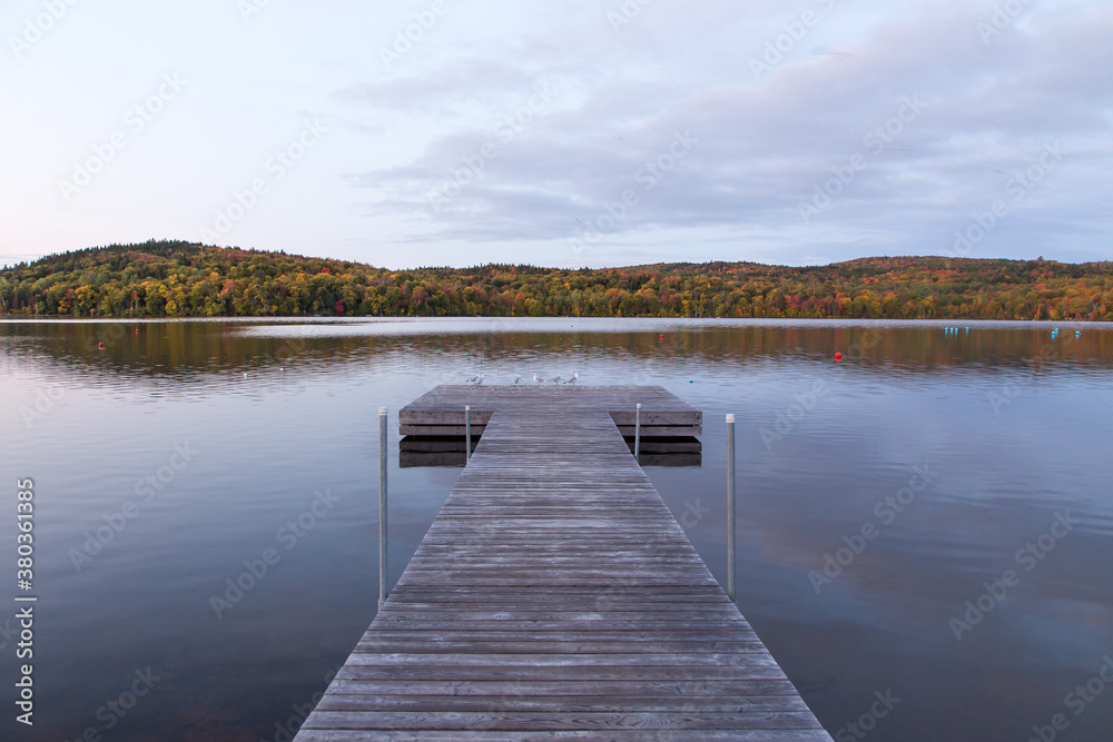Gulls standing at the end of a wooden jetty seen at dawn during the Fall season, Delage Lake, Quebec, Canada