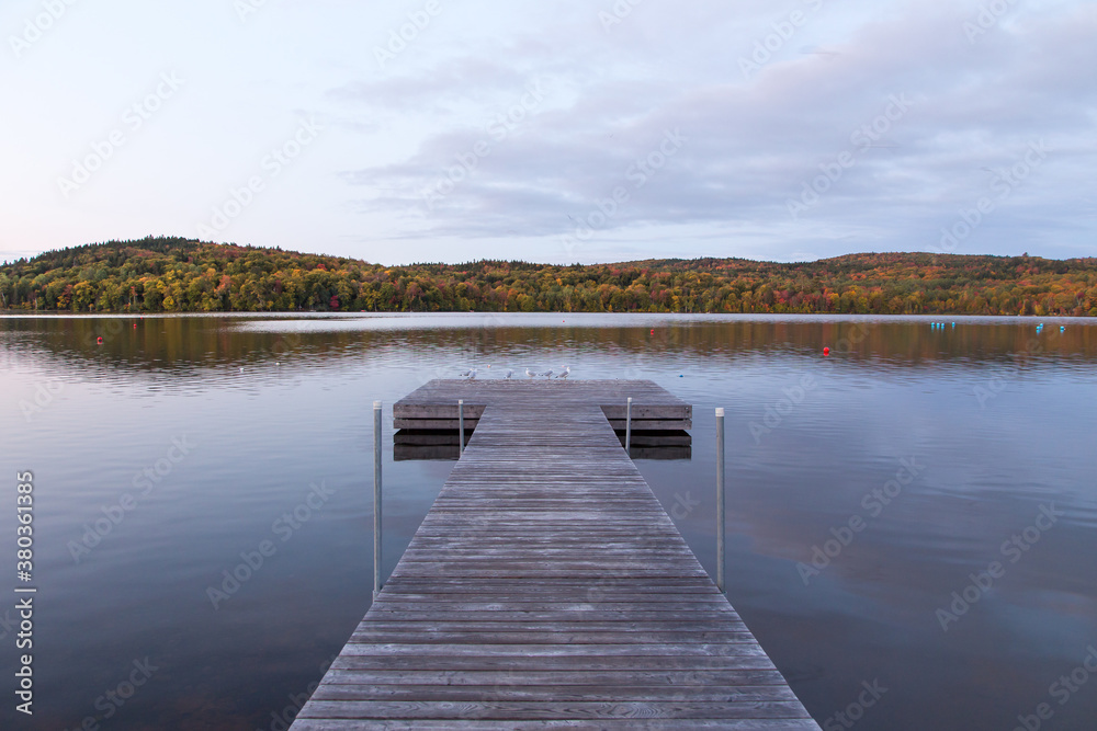 Gulls standing at the end of a wooden jetty seen at dawn during the Fall season, Delage Lake, Quebec, Canada Gulls standing at the end of a wooden jetty seen at dawn during the Fall season, Delage Lake, Quebec, Canada