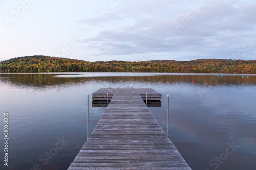 Gulls standing at the end of a wooden jetty seen at dawn during the Fall season, Delage Lake, Quebec, Canada