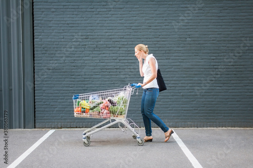 Woman walking with shopping cart photo