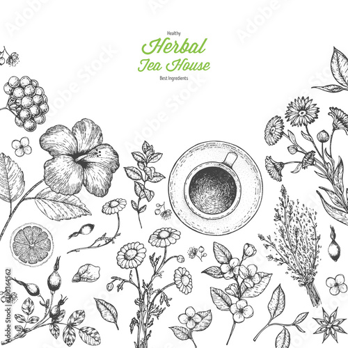 Herbal Tea shop vector illustration. Vector design with herbal tea ingredients. Hand drawn sketch collection. Engraved style.