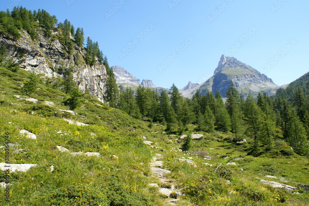 Alpe Veglia Piedmont, Italy: a mountain path leading into the forest
