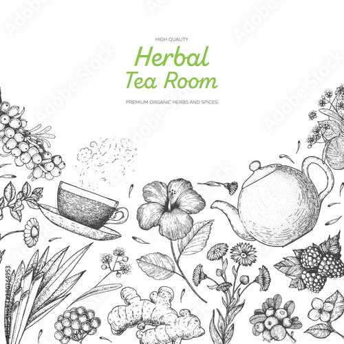 Herbal Tea shop frame vector illustration. Vector design with herbal tea ingredients. Healthy food and drink. Hand drawn sketch collection. Engraved style.
