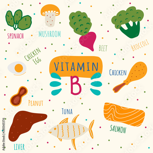 Vitamin B containing foods: liver, spinach, mushroom, beet, eggs, chicken, tuna, broccoli. Water-soluble vitamins hand drawn vector illustration.