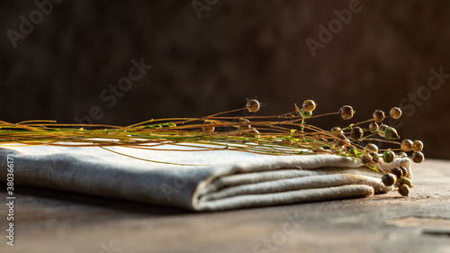 Bunch of dry flax plants on linen cloth