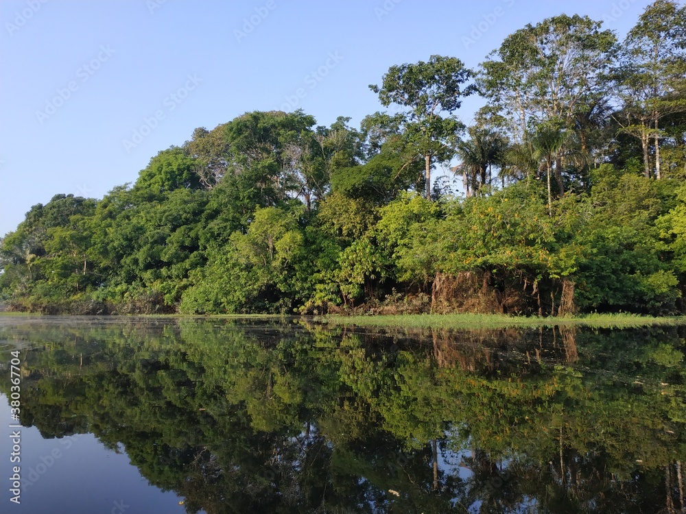 Amazônia, Brasil
