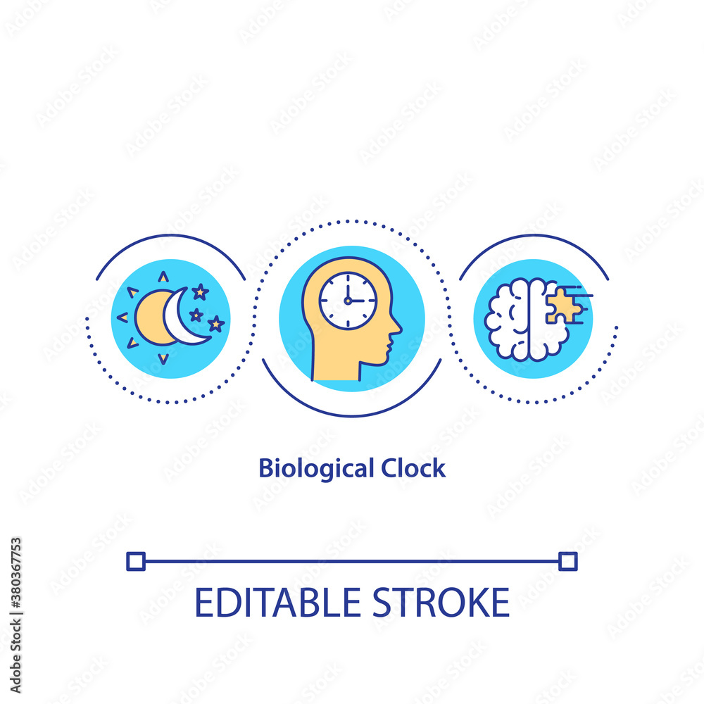 Biological clock concept icon. Human daily sleep and wake cycle idea