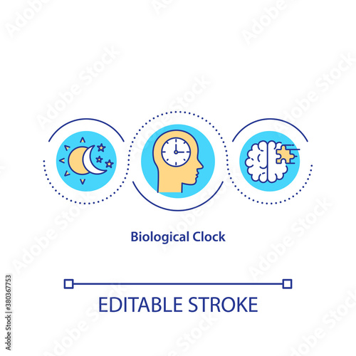 Biological clock concept icon. Human daily sleep and wake cycle idea thin line illustration. Circadian rhythm, brain activity time. Vector isolated outline RGB color drawing. Editable stroke