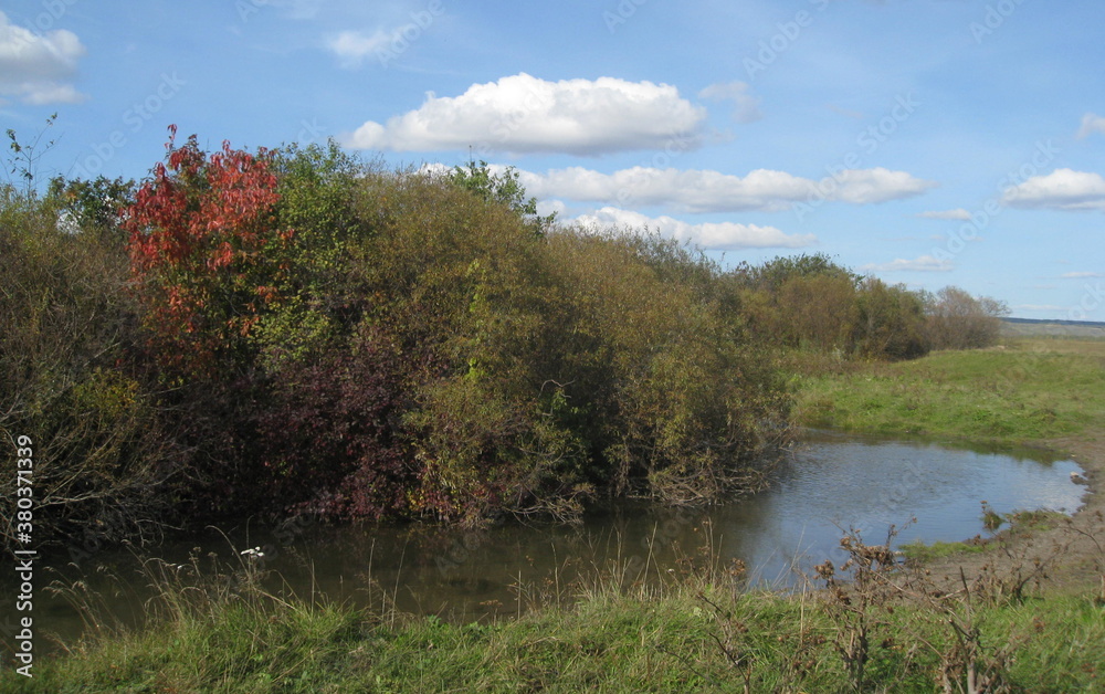 Amazing autumn landscape: turn of a small river and colorful leaves of bushes. Amazing autumn landscape: turn of a small river and colorful leaves of bushes.