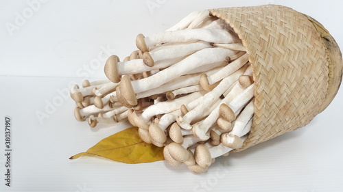 Yanagi mushroom, healthy food in a box falling on a white background. photo