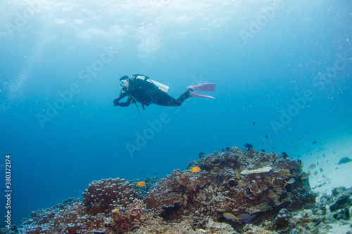scuba diver diving on tropical reef with blue background 