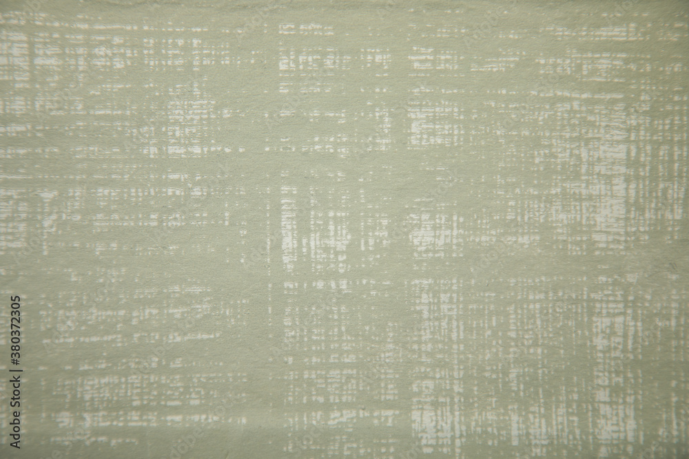 Obraz premium pale pastel green background