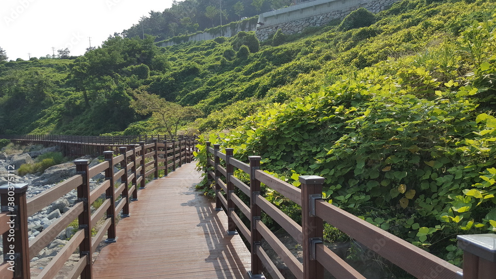 bridge in the mountains