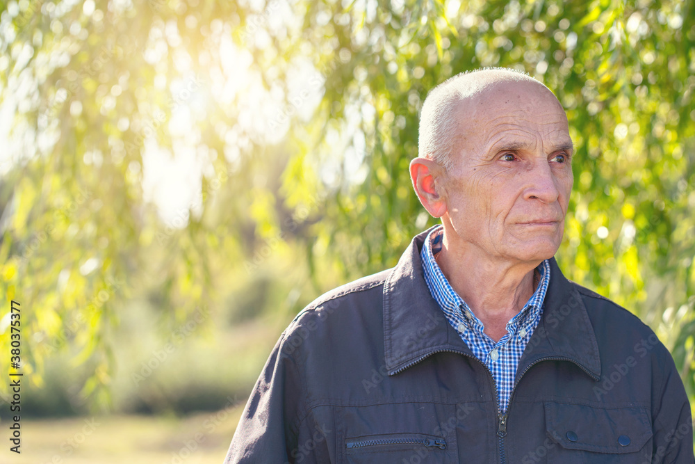 portrait of older grey haired man under willow tree and sunlight in city park side view portrait of older grey haired man under willow tree and sunlight in city park side view
