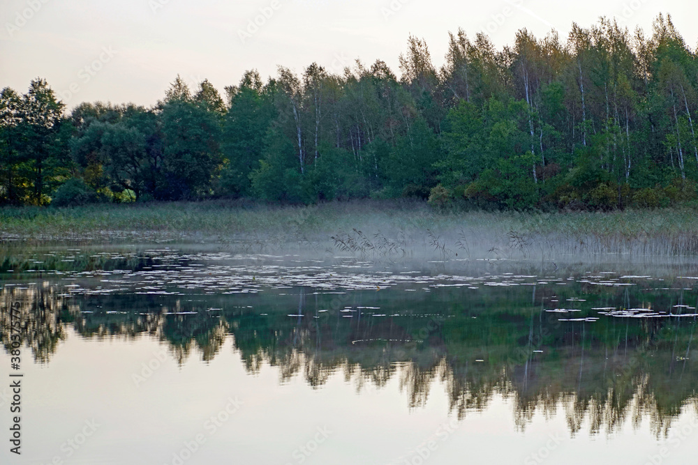 Obraz premium Foggy morning over the lake in September. Indian summer and sunrise. Warm beautiful autumn Landscape.
