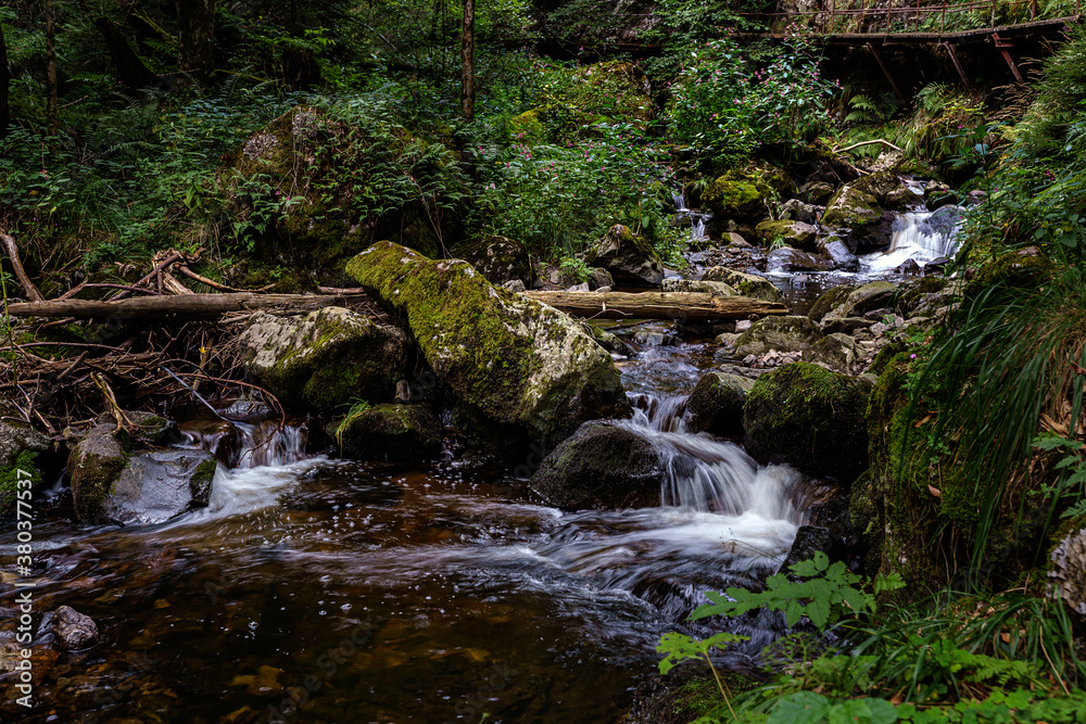 Obraz premium The Ravenna Gorge in the Black Forest is a narrow and steep side valley of the Hoellen Valley, mountain stream flows over many cascades and waterfalls
