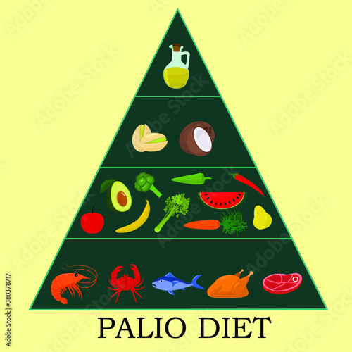 Paleo food pyramid chart. Nutrition and diet infographics