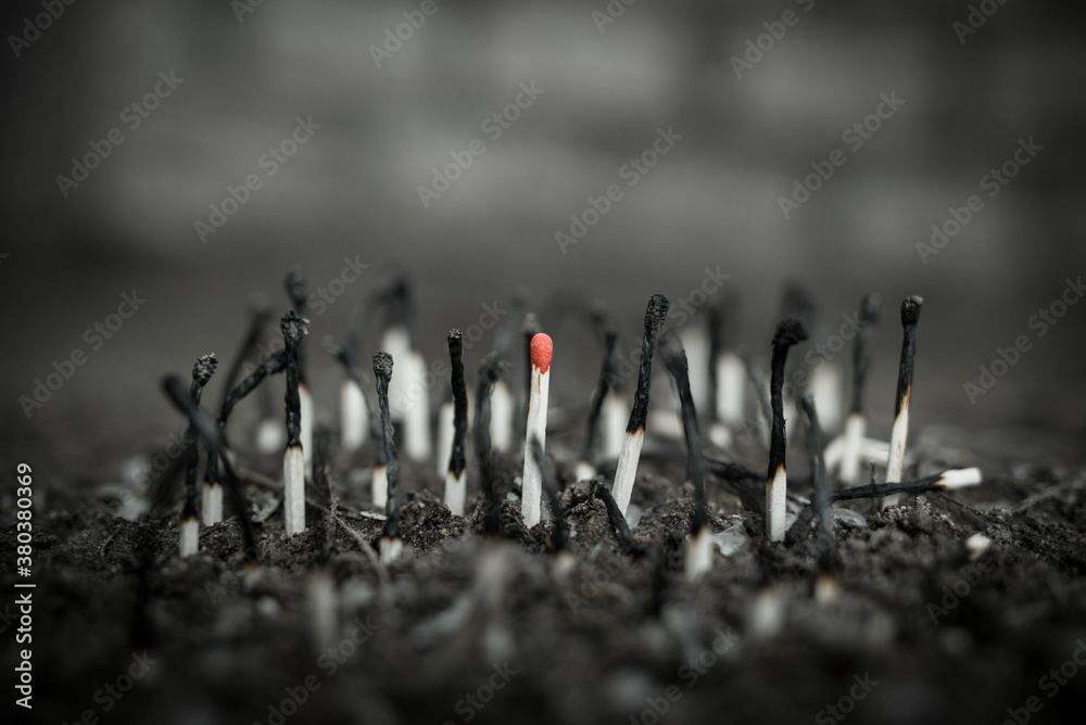 Фотография surviving