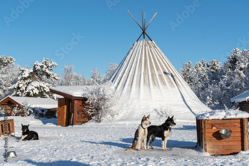 Fotografie Neve em Alta, Noruega