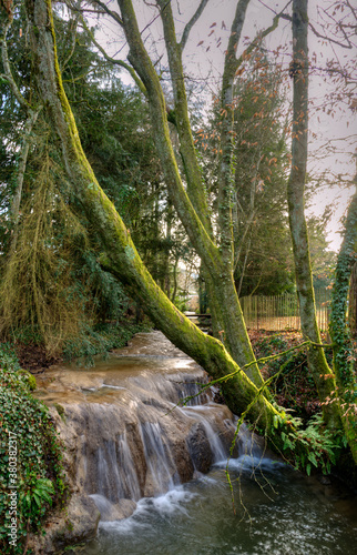 Ruisseau dans un parc    Meillonnas  France
