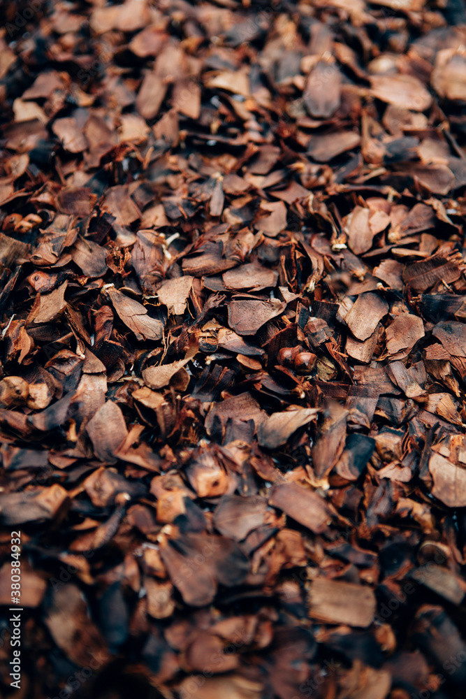 Crushed and broken pine cones, close up Crushed and broken pine cones, close up