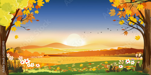 Autumn landscapes of Countryside with sunset and blue and pink sky,Panoramic of mid autumn with farm field, mountains, leaves falling from trees in orange foliage. Wonderland in fall season