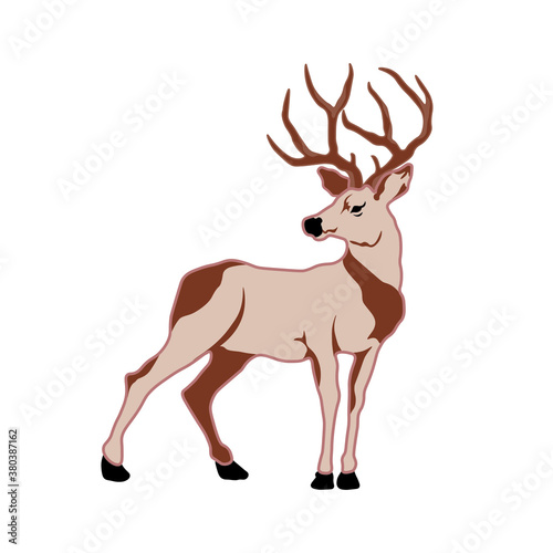 Forest Deer on a white background. Vector illustration.