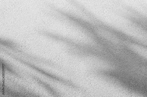 Wallpaper Mural Abstract Shadow. blurred background. gray leaves that reflect concrete walls on a white wall surface for blurred backgrounds and monochrome wallpapers. Torontodigital.ca