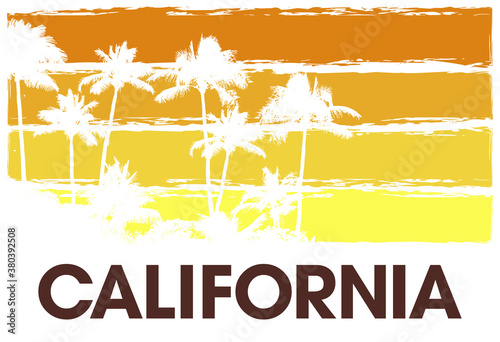 Color summer sky tropical background with exotic palm leaves and plants california banner. heaven floral california background