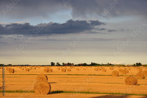 round bales in field at sunset