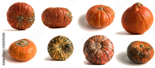 Set with fresh raw pumpkins on white background.
