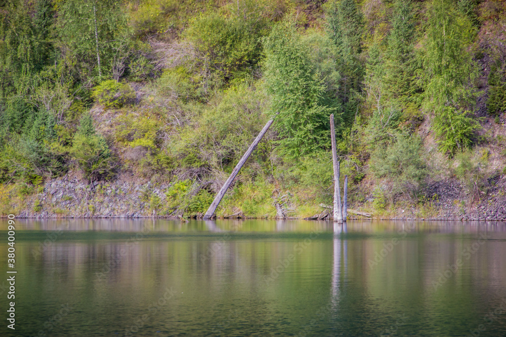 Obraz premium Still water of the green lake in front of the green hills with trees and grass. Summer landscape in Kazakhstan.