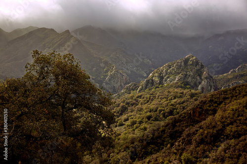 Misty mountain range with lush forests and low, misty clouds.
