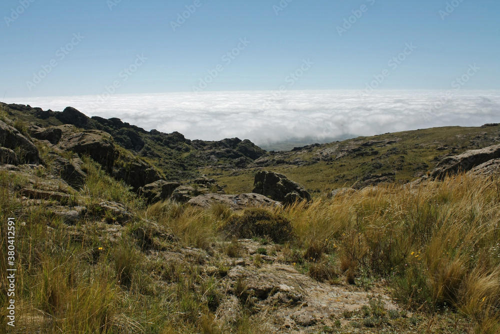 Above the sea of clouds. Beautiful view of the yellow meadow and white clouds, from the top of the hill.