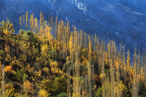 Autumnal View of Gupis Valley photo